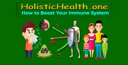 !    HolisticHealth.one How to Boost Your Immune System