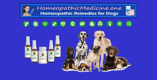 HomeopathicMedicine.one - Homeopathic Treatment for Dogs