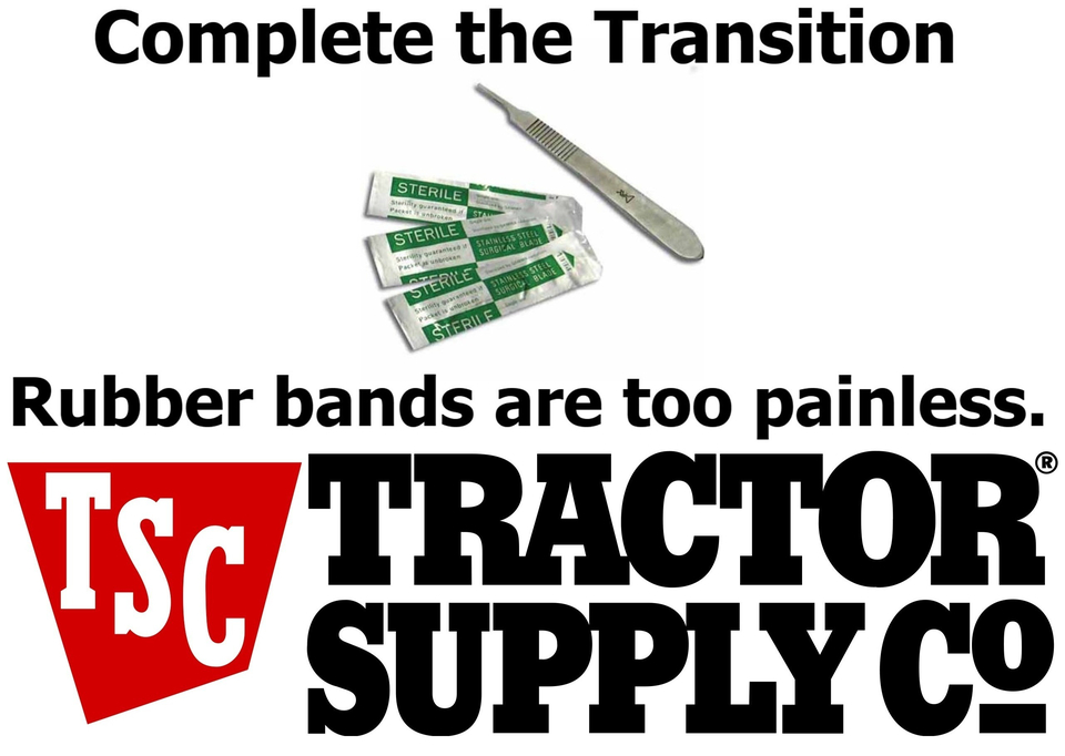 Transgender Transition Kit 960px » The Ministry of Truth's Timeline