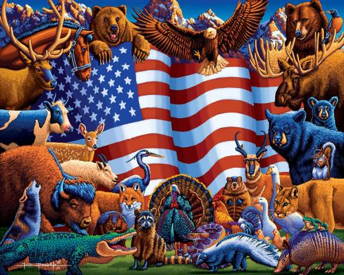 ! Eric Dowdle - Animals of America