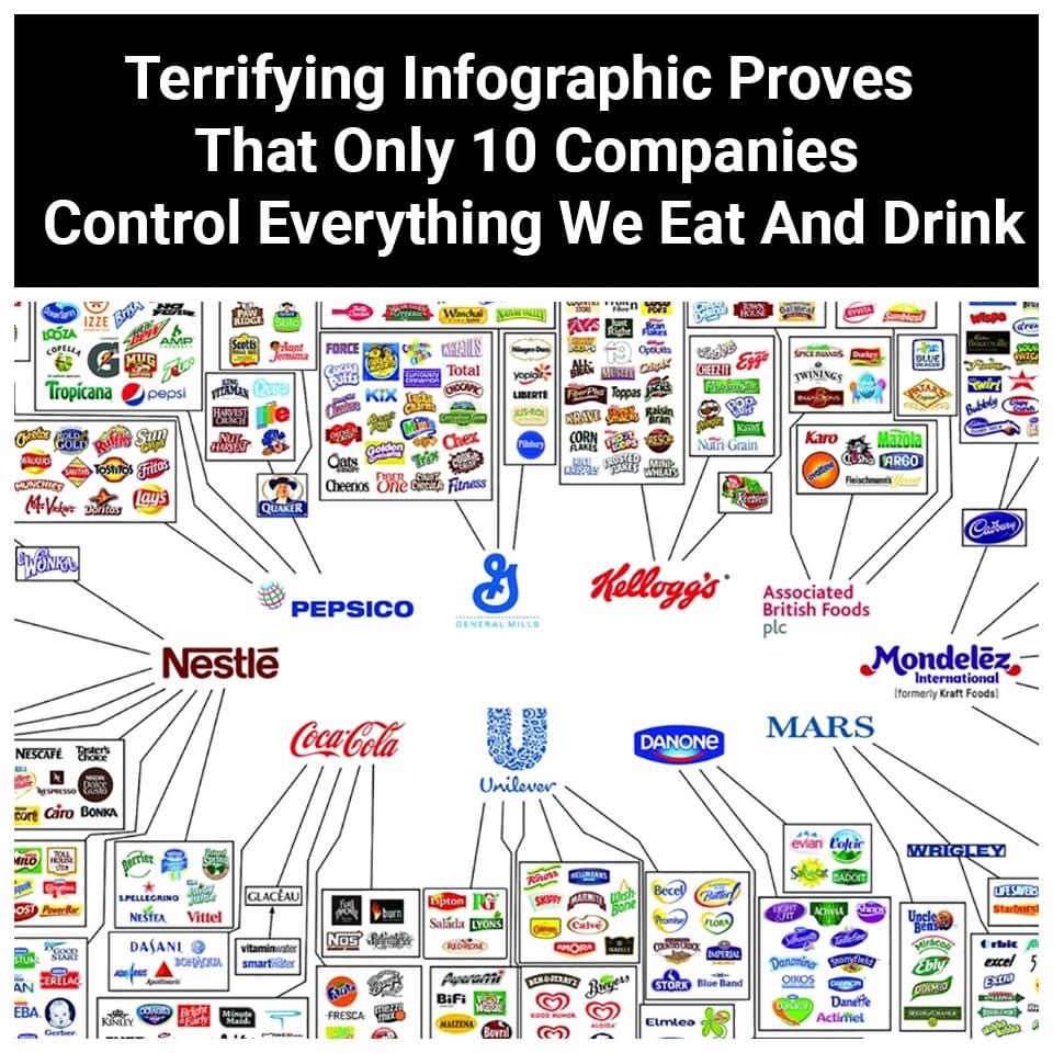 food-monopolies-holistic-s-timeline-photos-family-and-friends-community