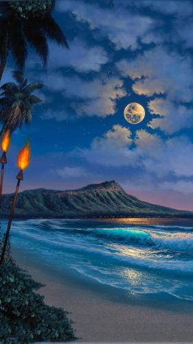 Night on a tropical beach with torches