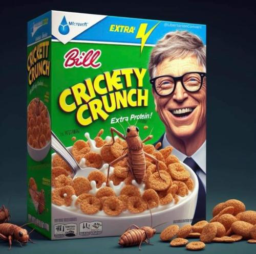 Bill Gates cricket crunch
