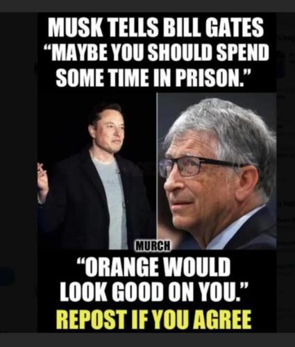 Musk to gates prison