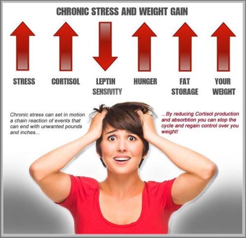 weight gain and hormones