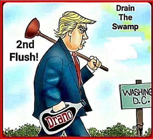 trump drain swamp