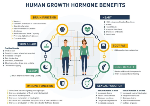 hgh hormone benefits