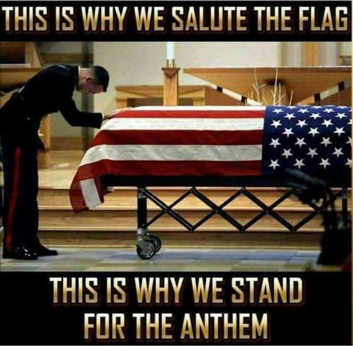 Why we salute