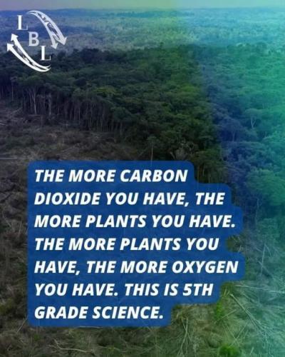 the more carbon dioxide
