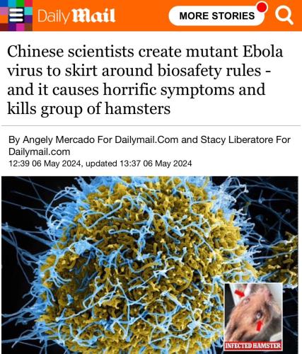 chinese ebola